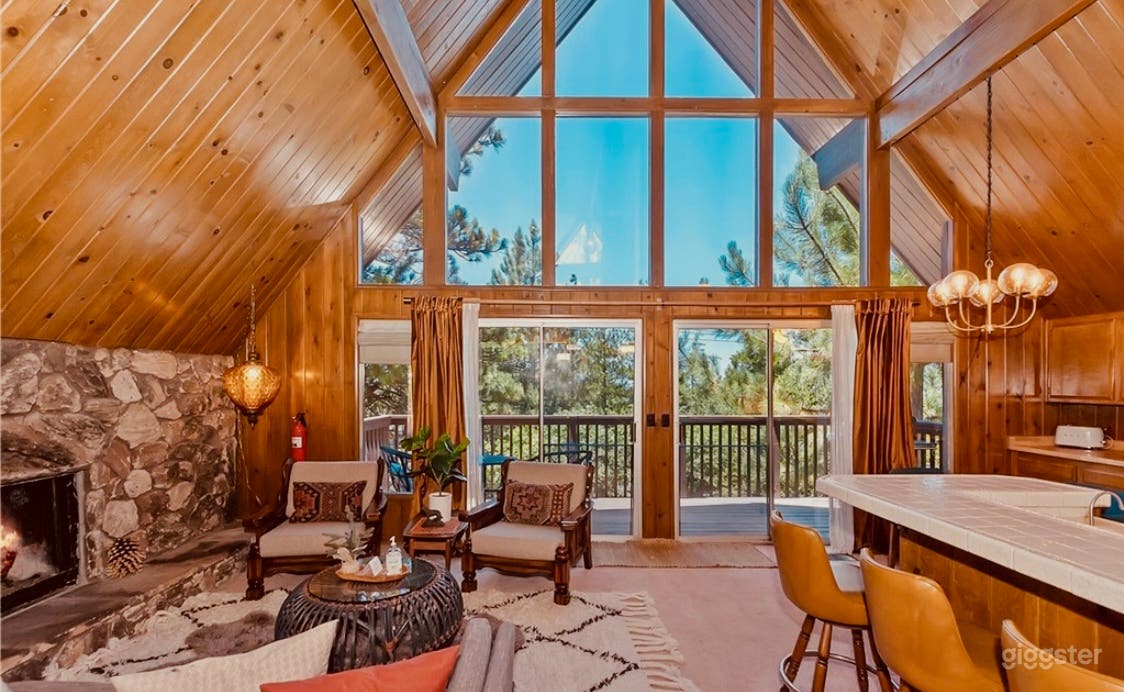 Graceland Vintage 60s 70s A Frame Retro Cabin Photo 2