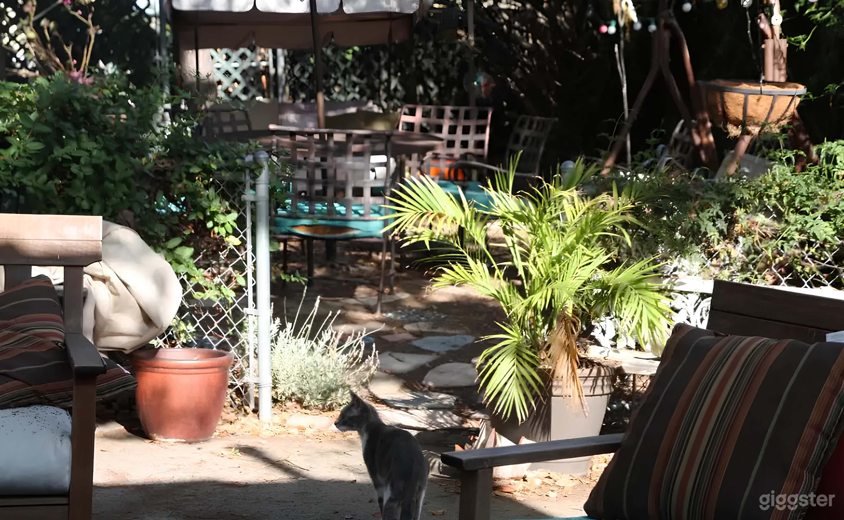 Versatile Private Backyard Photo 4