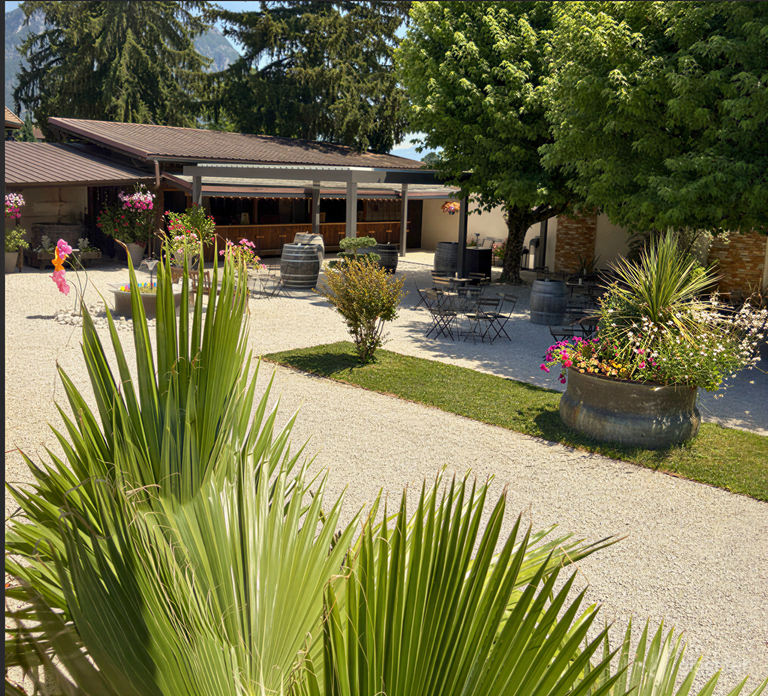  Cour paysagée avec bar extérieur style ranch américain 