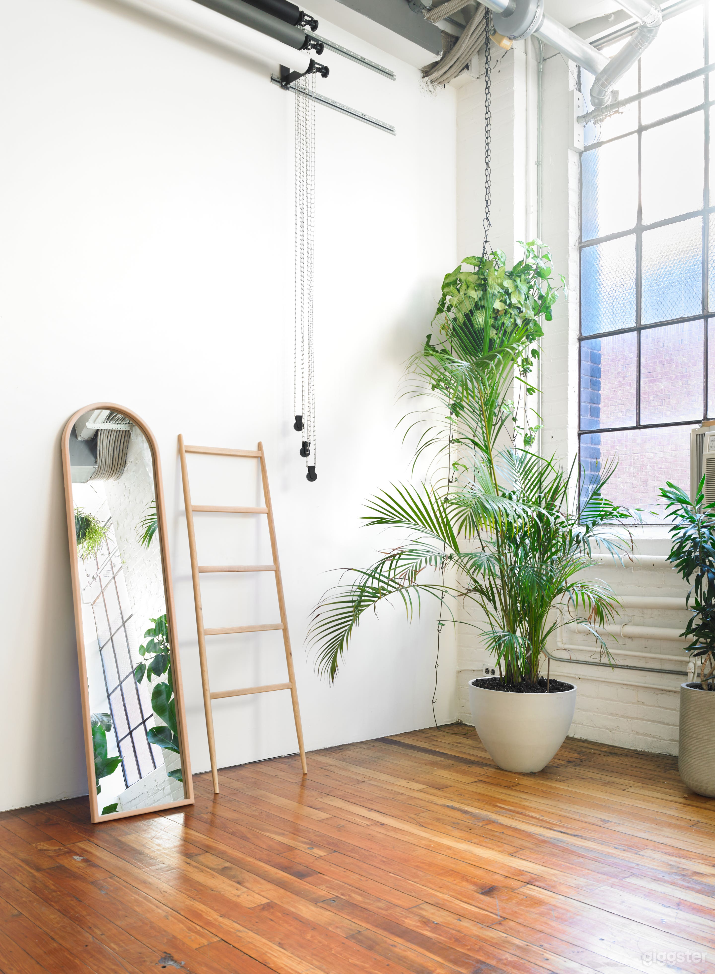 Large Factory Jungle Loft in Corktown Photo 4