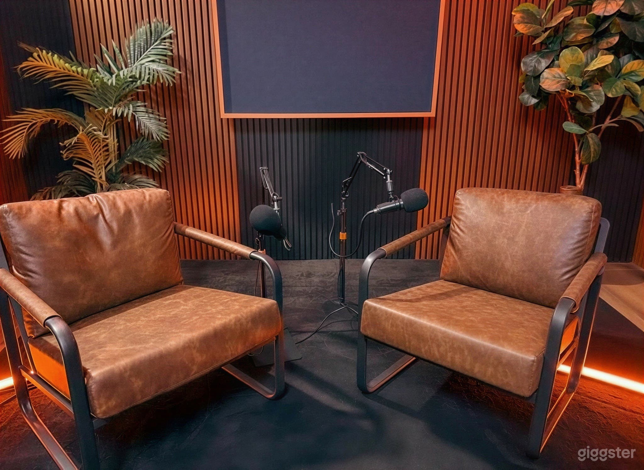 Two Fully Customizable Podcast Sets Photo 2