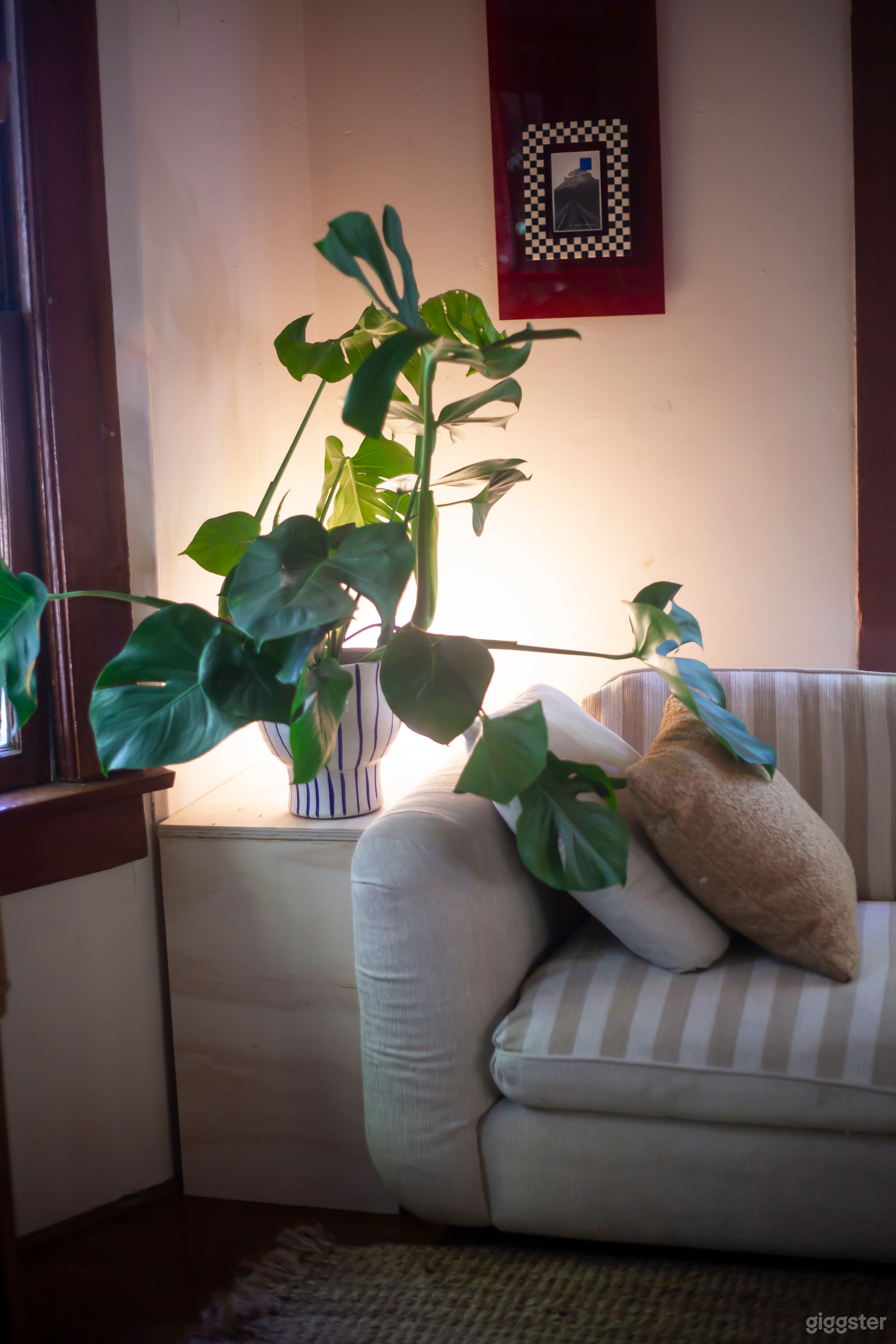 Leafy exterior Victorian home with trendy interior Photo 3