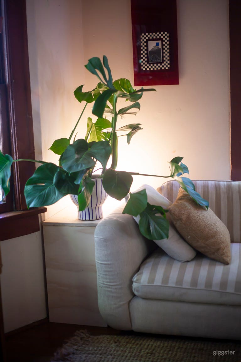  Leafy exterior Victorian home with trendy interior 