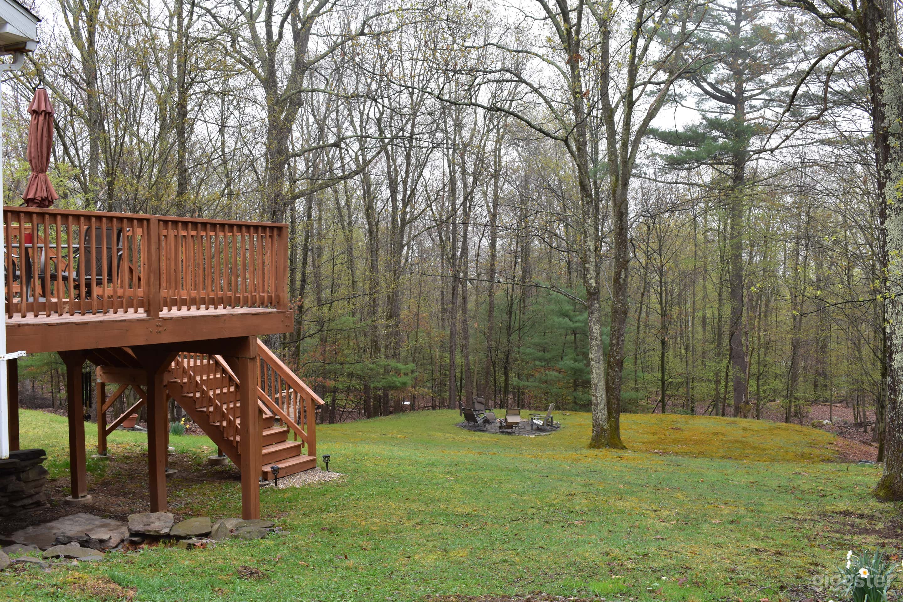Backyard surrounded by trees on 5 acres.