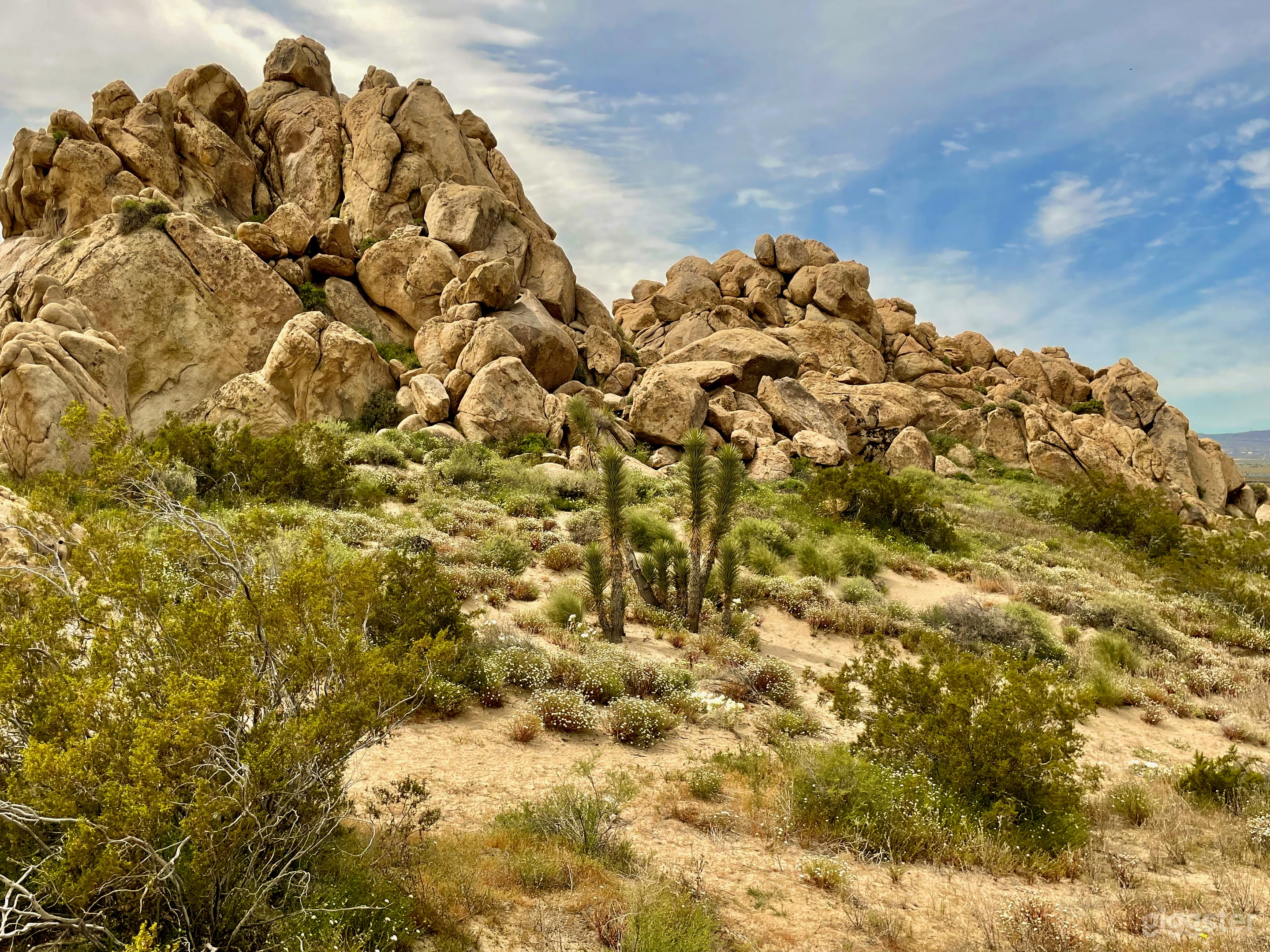 Desert Hilltop Dome w Joshua Trees, Rocks, View, 1Hr from LA Photo 4