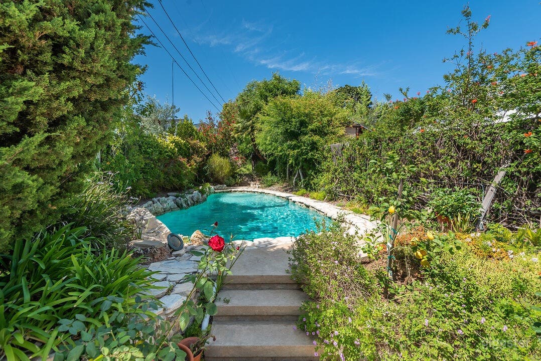 Tropical, Crystal Clear Pool Photo 1