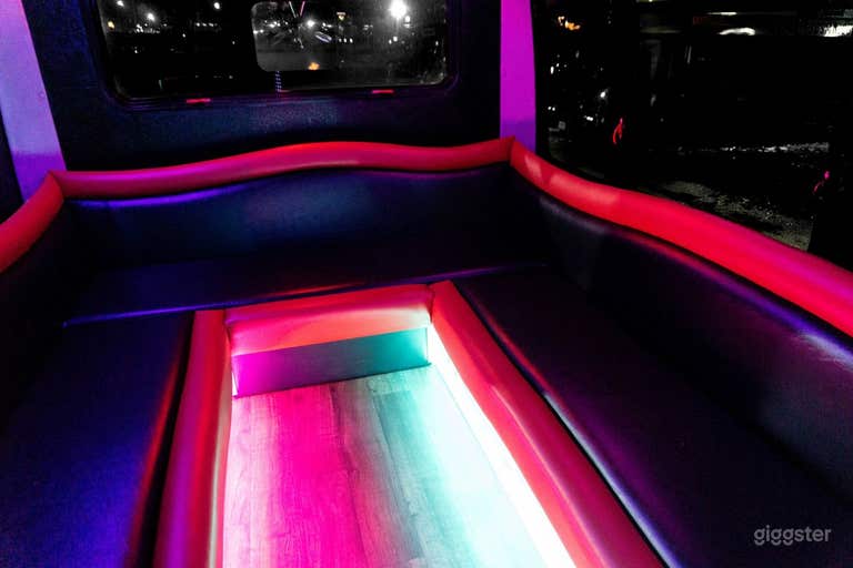  VIP Party Bus "Mini Red Devil" in Minneapolis 