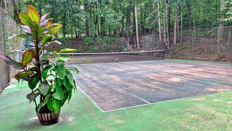  Secluded Tennis Court in Nature's Embrace 