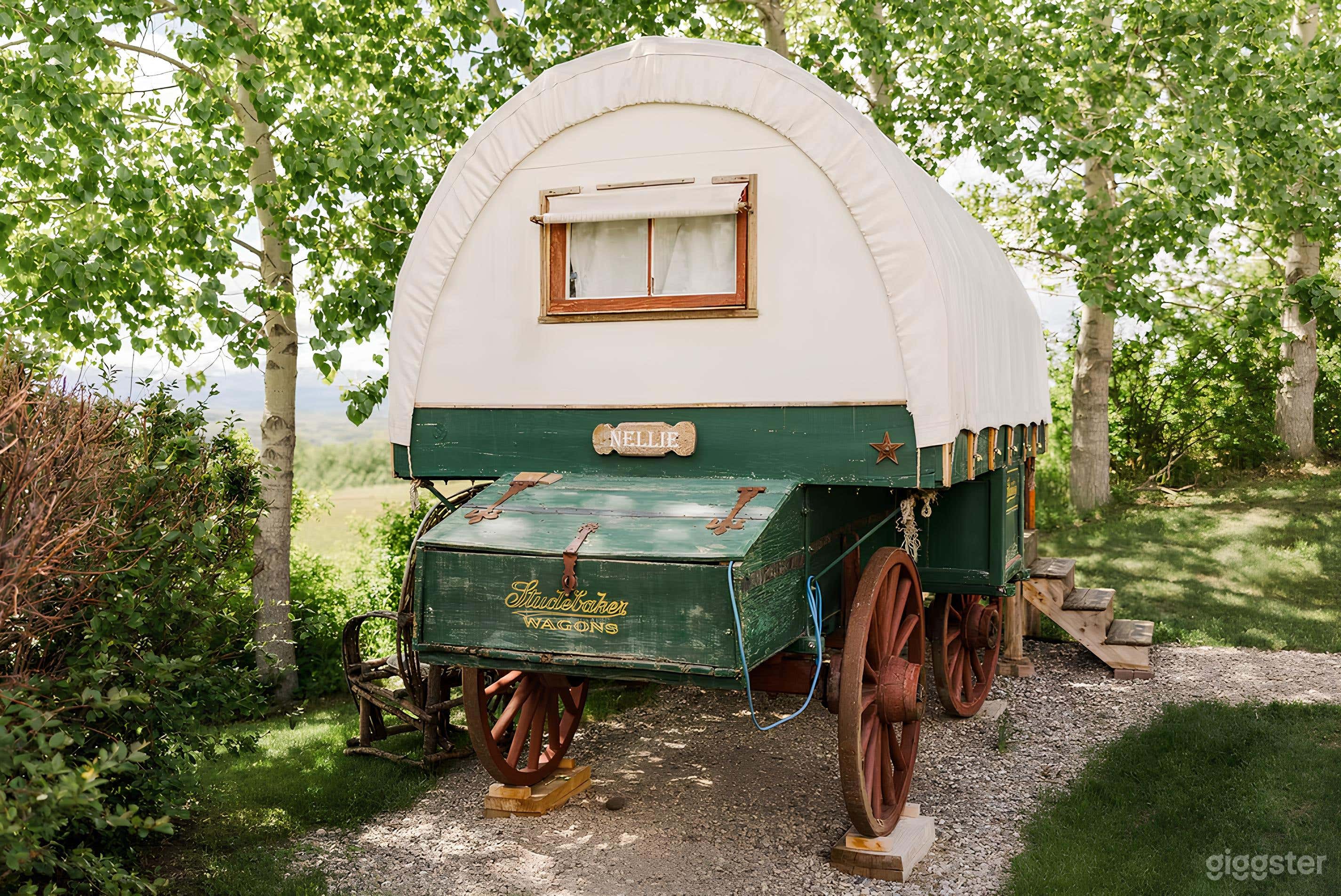 Nellie The Sheep Camping Wagon Photo 2