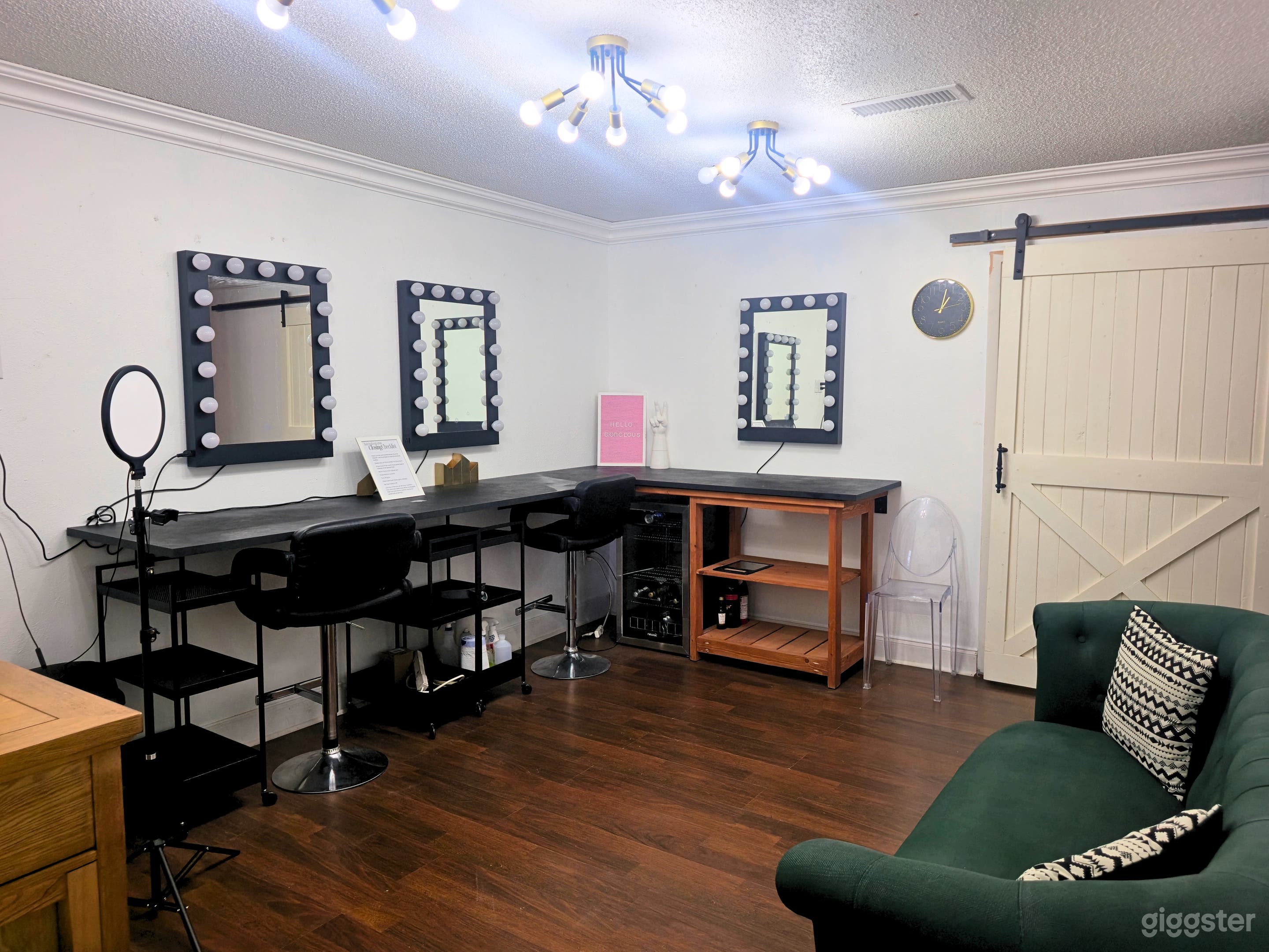 Affordable Natural Light Studio in Downtown Carrollton Photo 3