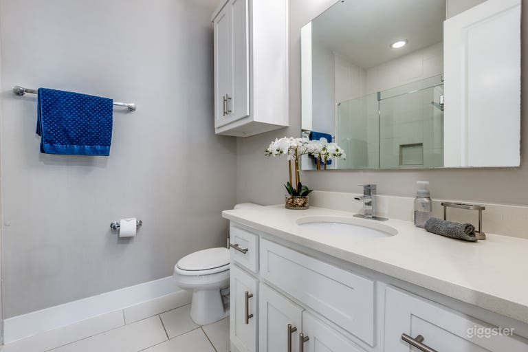  Skyline view of Downtown Dallas 3 story home! 