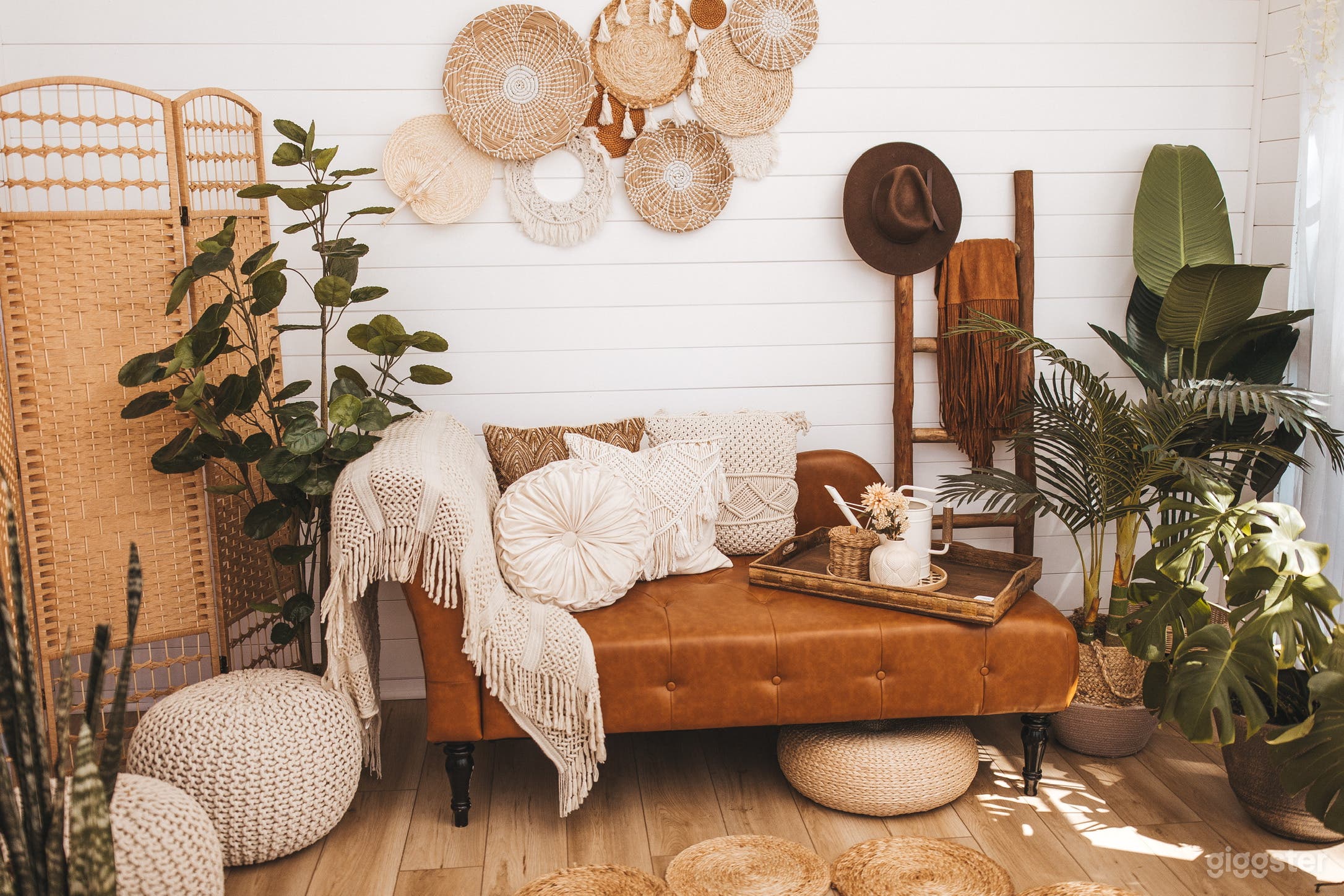 Greenhouse Photo Studio Photo 1