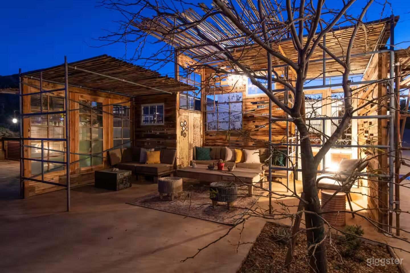 The Desert Lily Photo 2