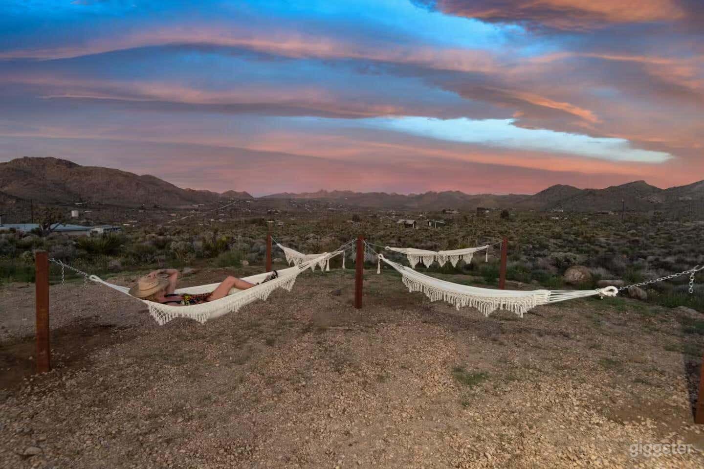 The Desert Lily Photo 3