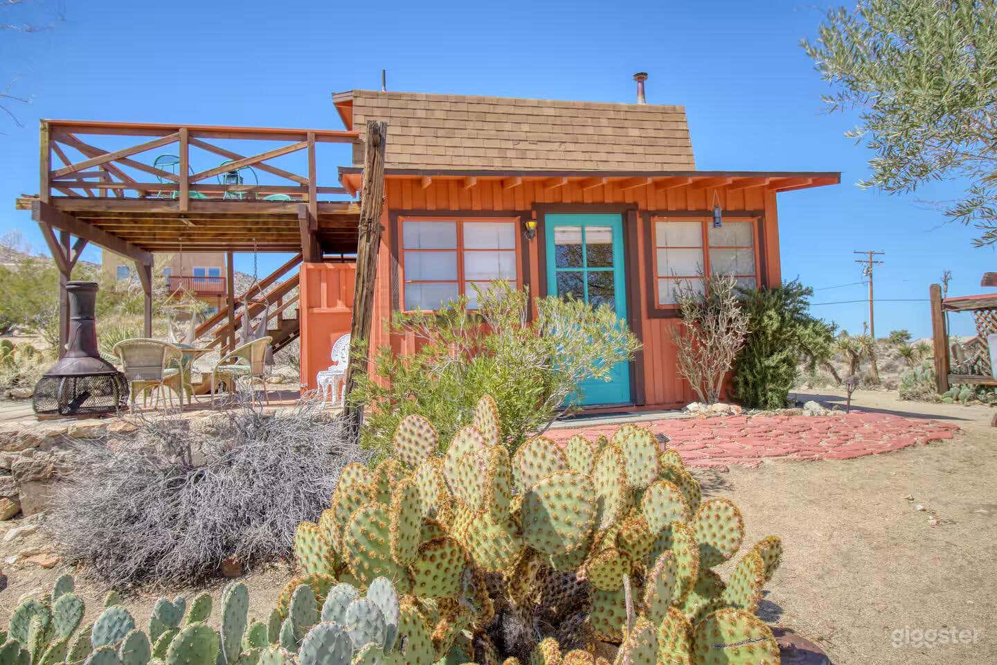 The Desert Lily Photo 1