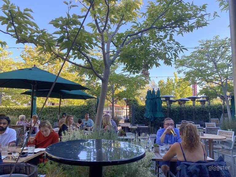  Tree-Shaded Outdoor Patio 