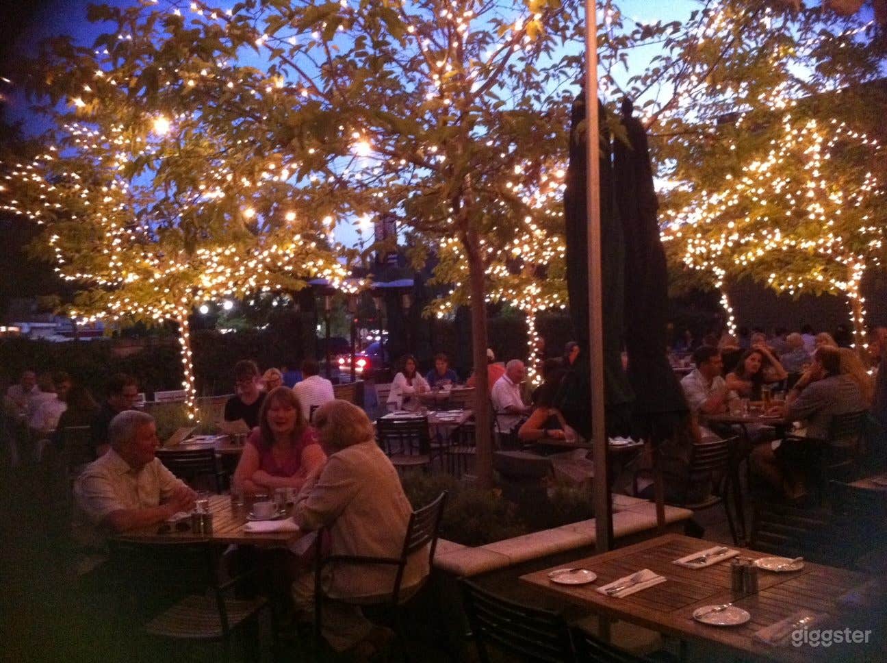 Tree-Shaded Outdoor Patio Photo 4