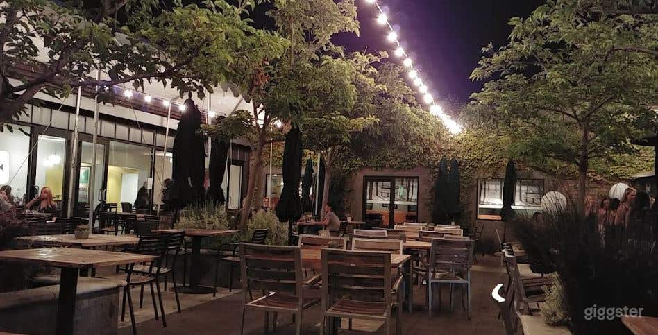 Tree-Shaded Outdoor Patio Photo 2