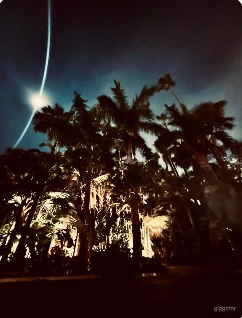 Tropical Paradise. Palm Trees, and Fine Art Photo 4