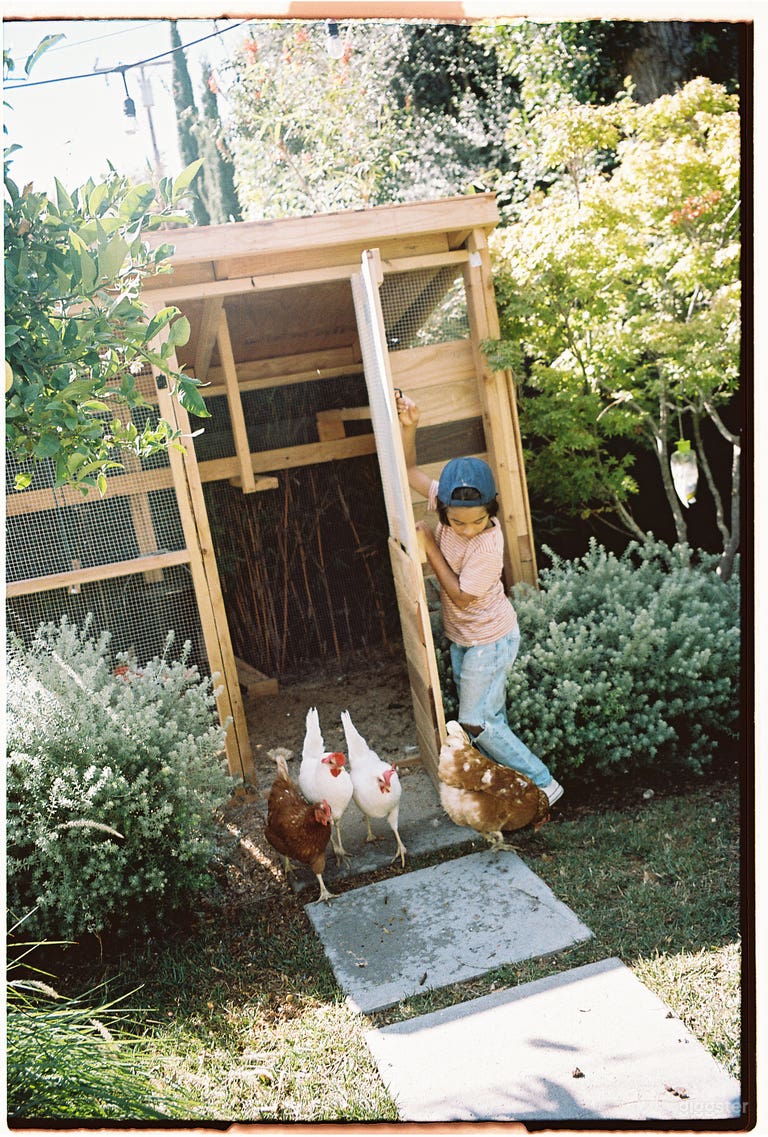  Spacious Bright Costa Mesa Home 
