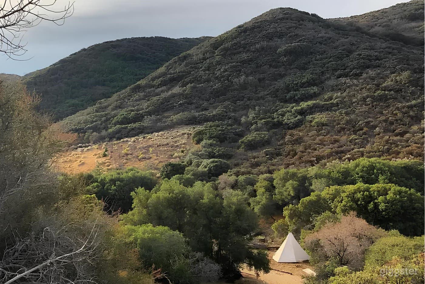 Hidden Valley Cinematic Forest Setting Photo 2