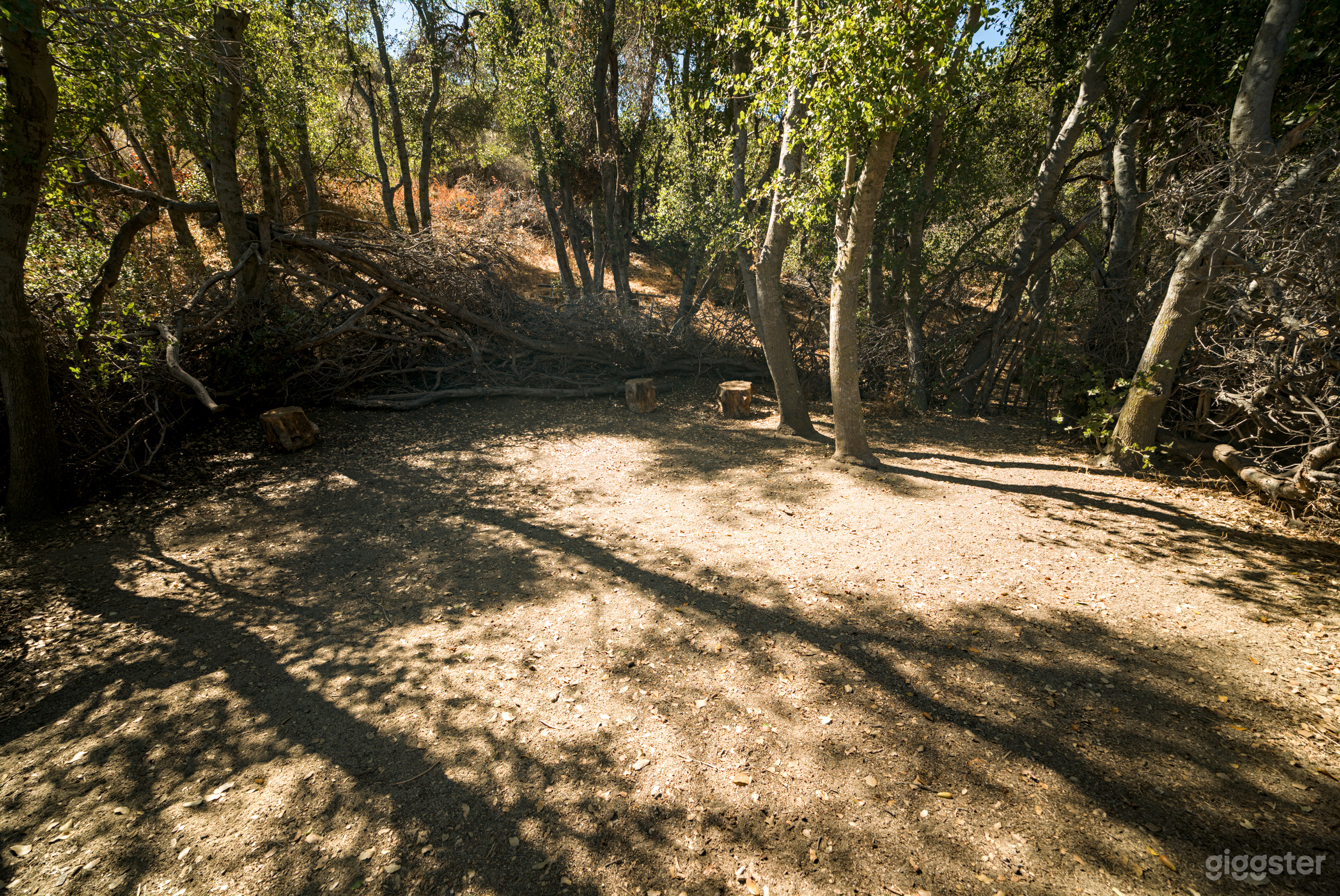 Hidden Valley Cinematic Forest Setting Photo 2