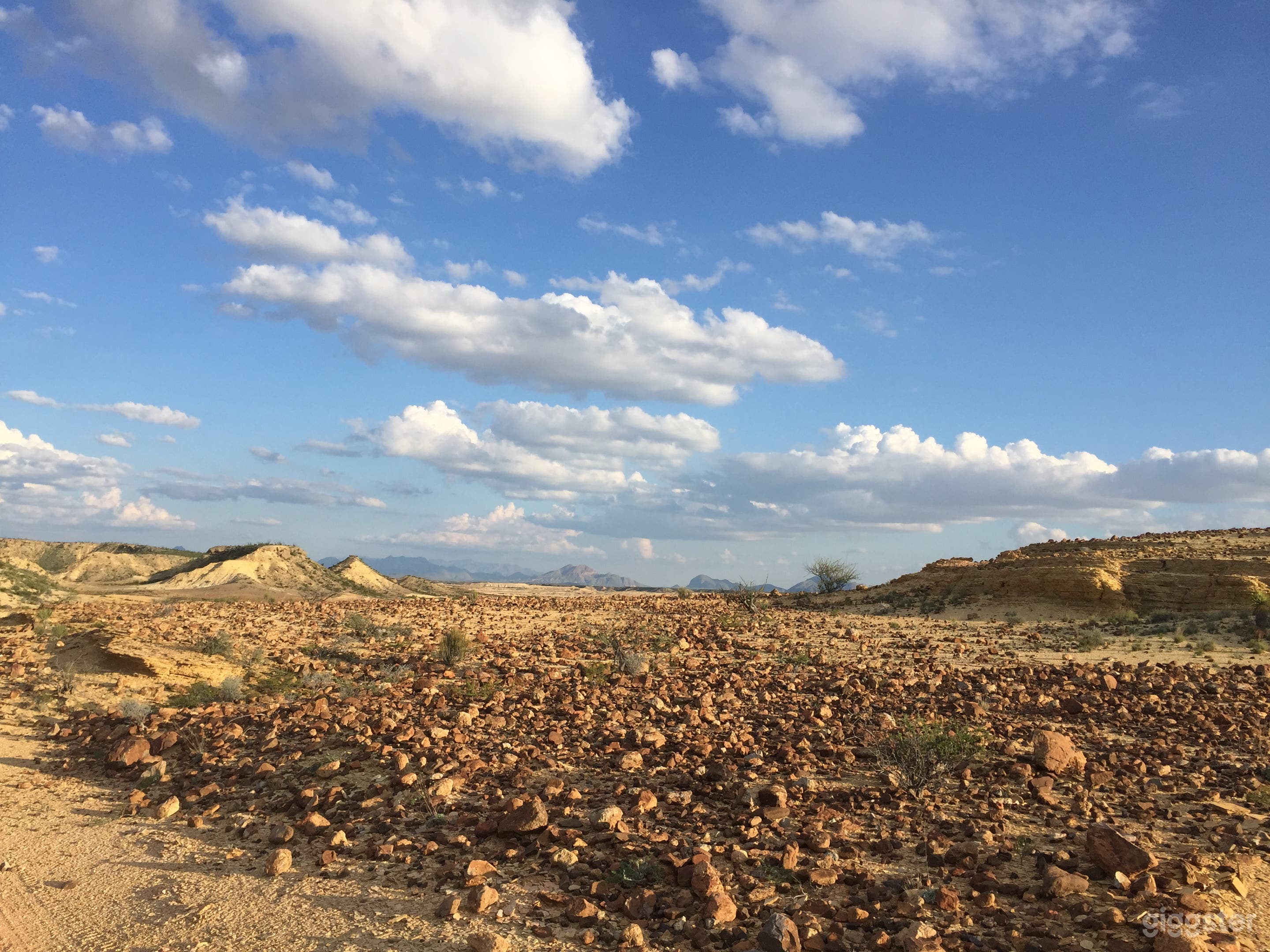 desert w/ Mars rocks