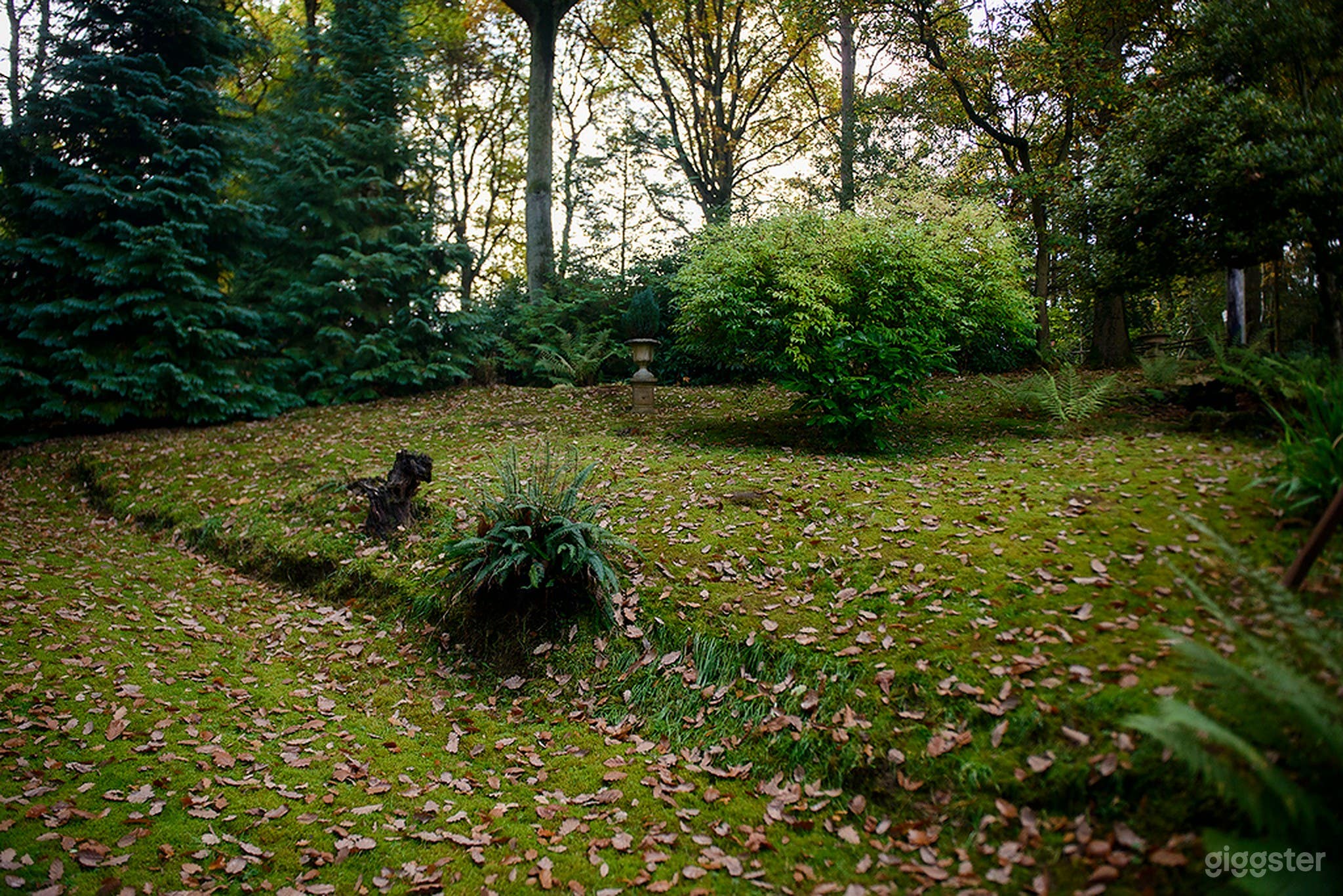 Spring and summer in the woods Set Photo 3