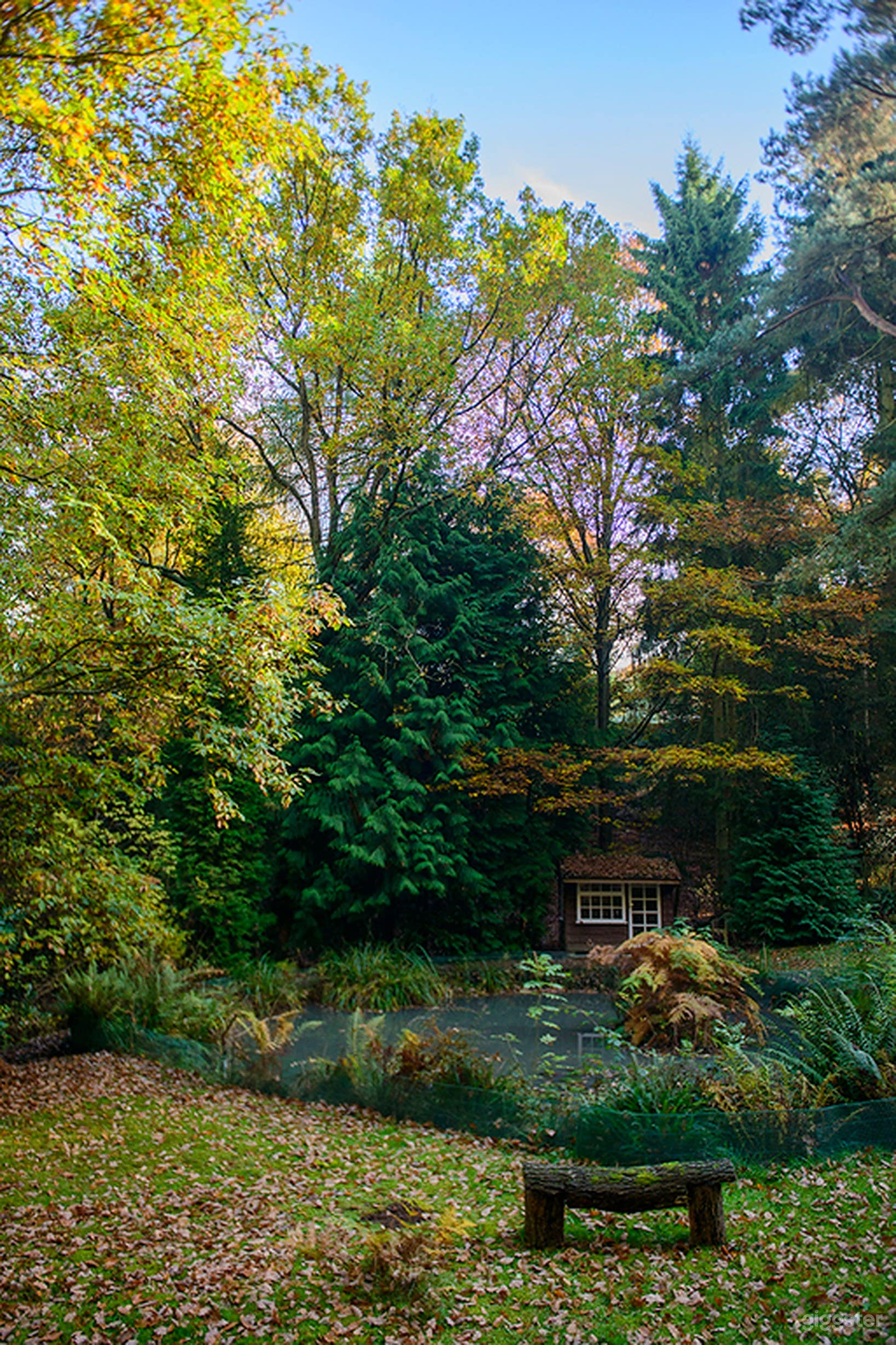 Spring and summer in the woods Set Photo 2