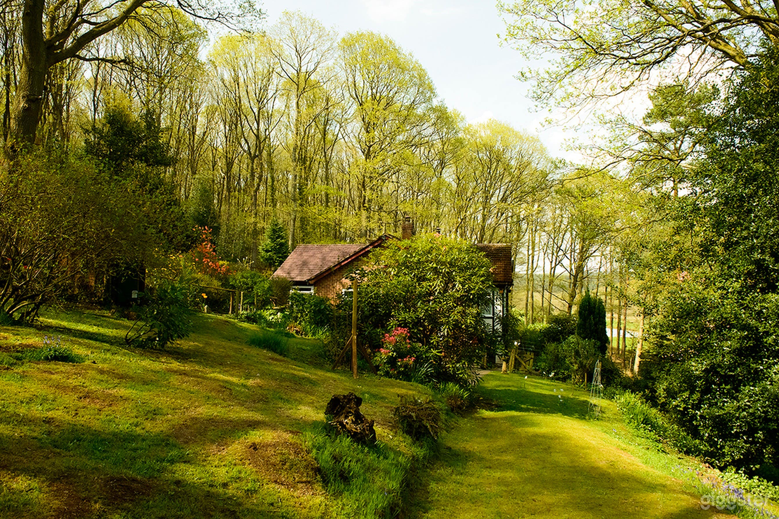 Spring and summer in the woods Set Photo 1