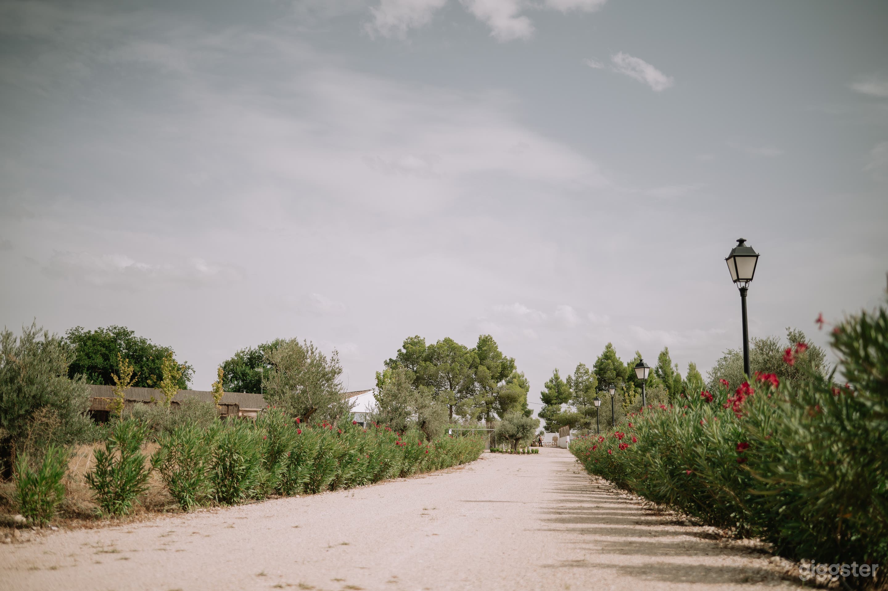 Finca idílica restaurada que combina encanto rústico con diseño contemporáneo en Aranjuez Photo 4