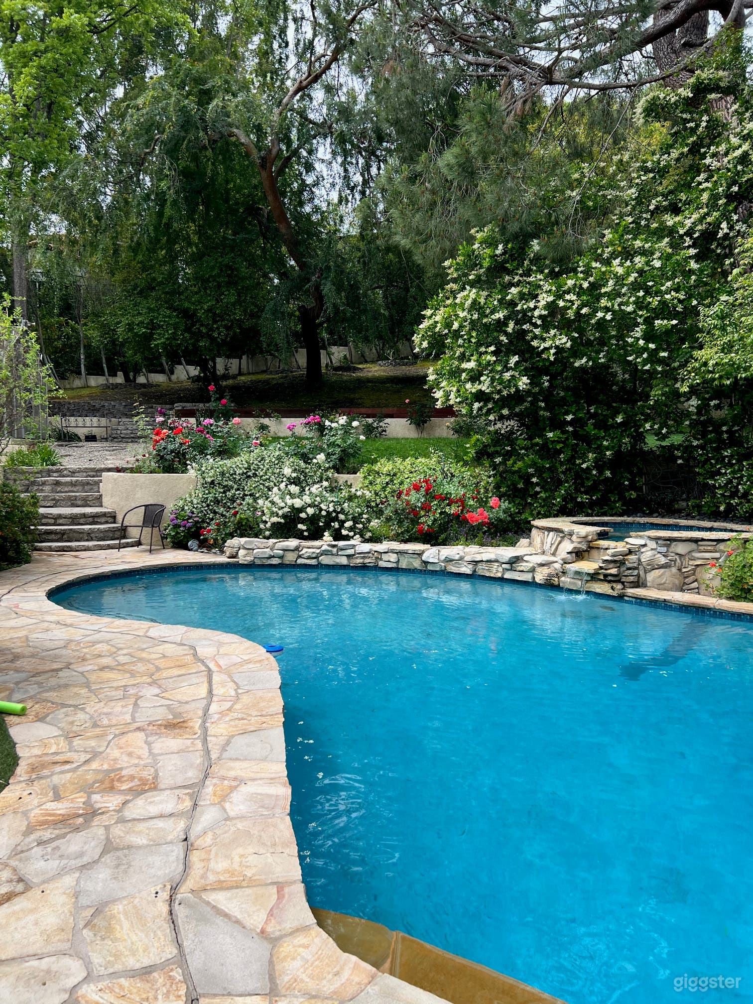 Country Setting in City! Pool &amp; Greenhse. Cov.Pat. Photo 3