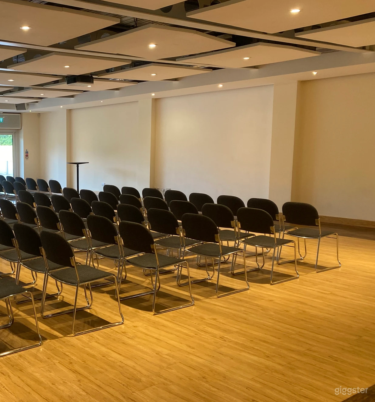 Shaftesbury Suite with Wood Effect Flooring Photo 4