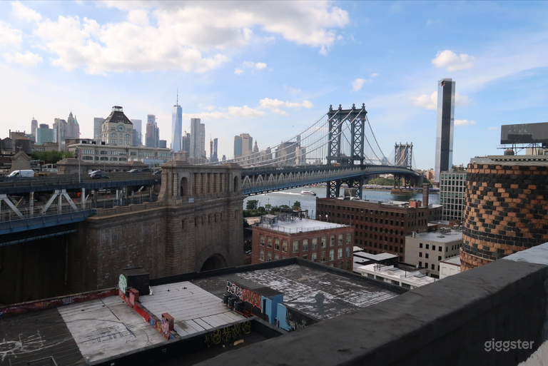  NYC SKYLINE VIEW ROOFTOP 