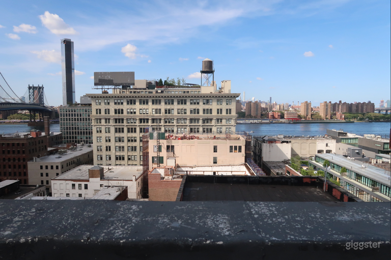  NYC SKYLINE VIEW ROOFTOP 