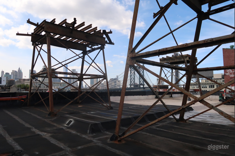  NYC SKYLINE VIEW ROOFTOP 