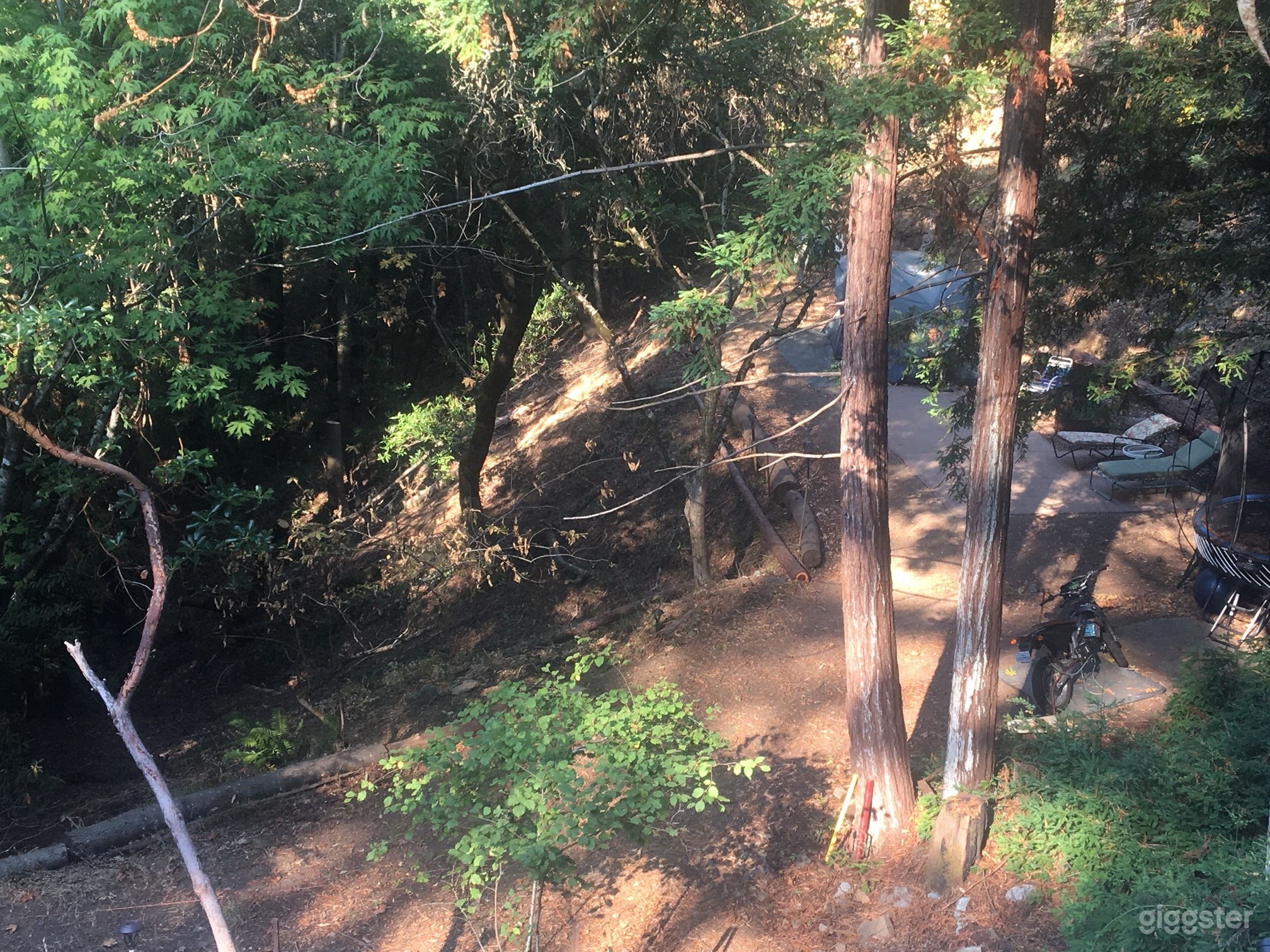 Over Six Sunny Acres Heart of Redwoods Cabin Photo 3