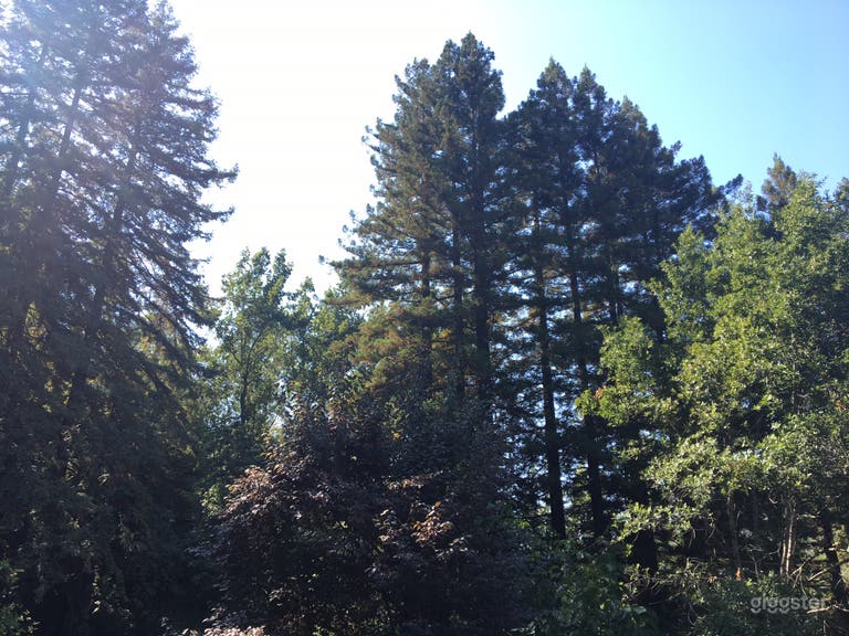  Más de Seis Acres Soleados en el Corazón de la Cabaña Redwoods 
