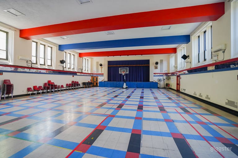  Escuela en el centro con aulas, patio y gimnasio 