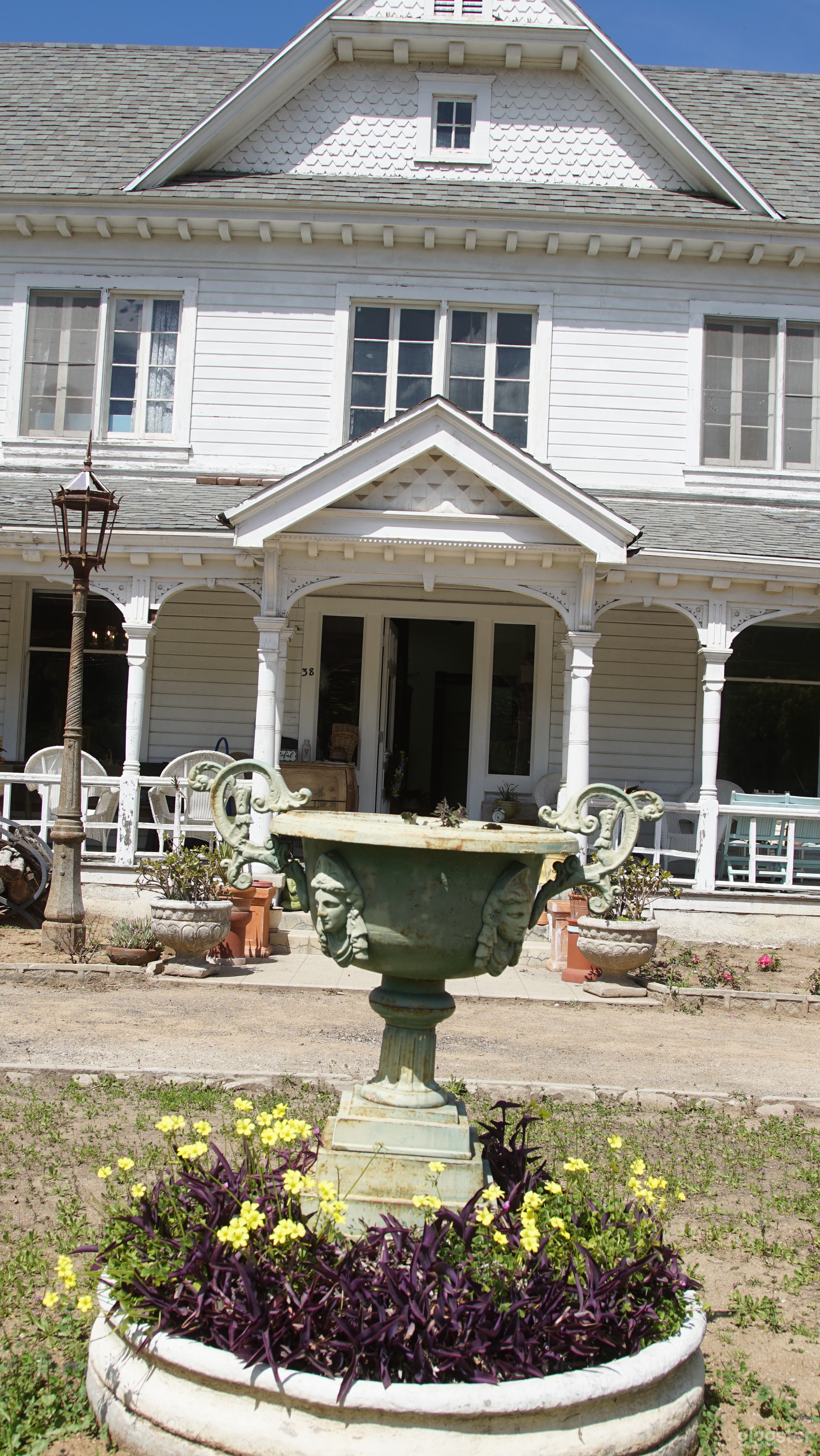 Lady leaf Victoria house Photo 3