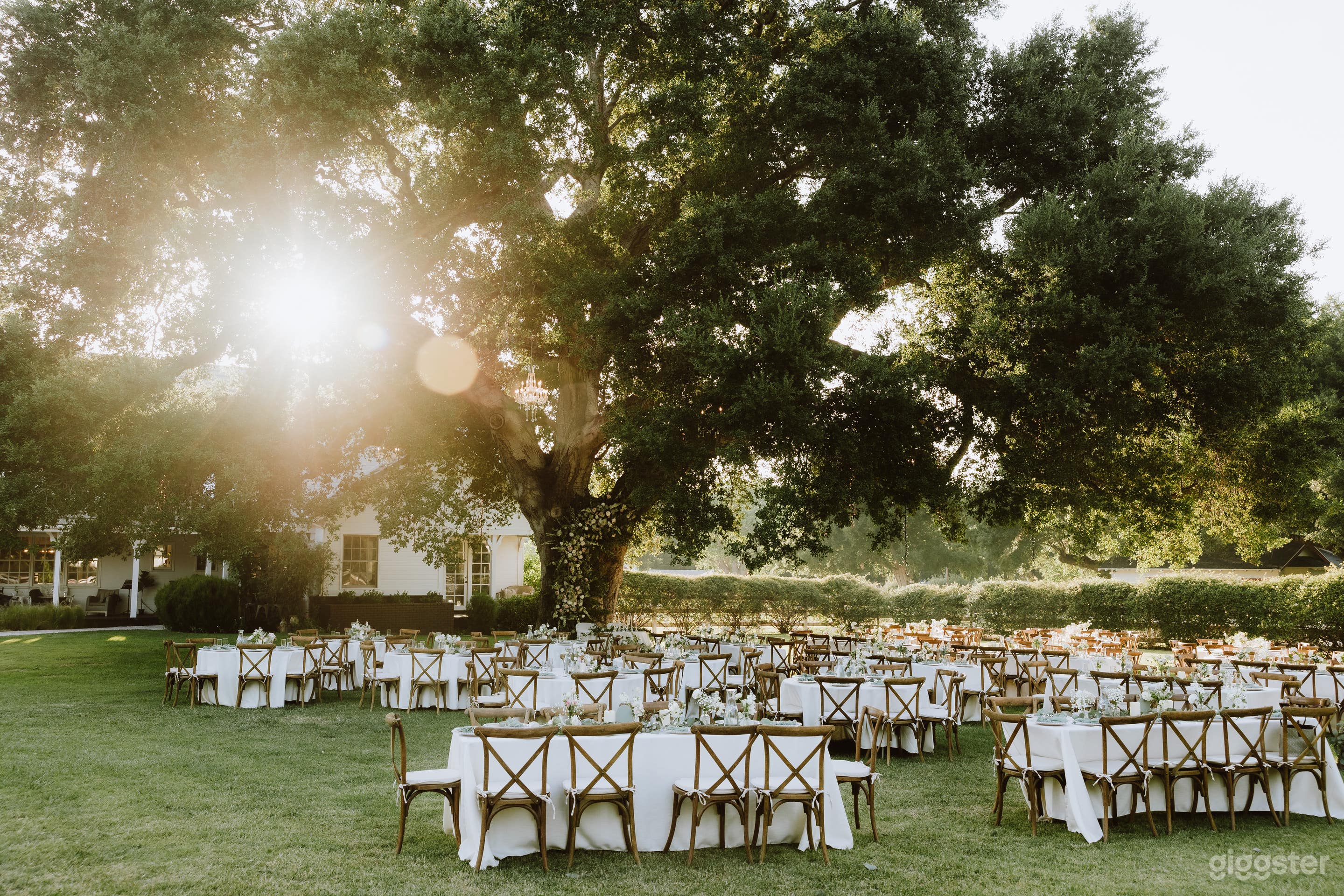 Modern farmhouse industrial barn oak tree studio theater Photo 1
