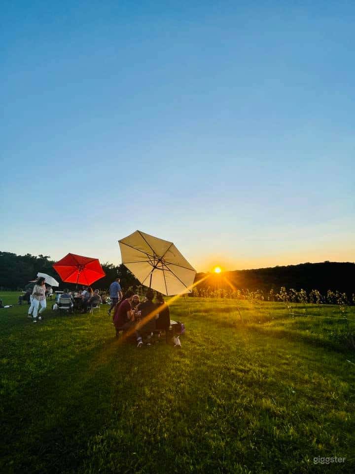 Open-air Private Event Space in Newtown Photo 2