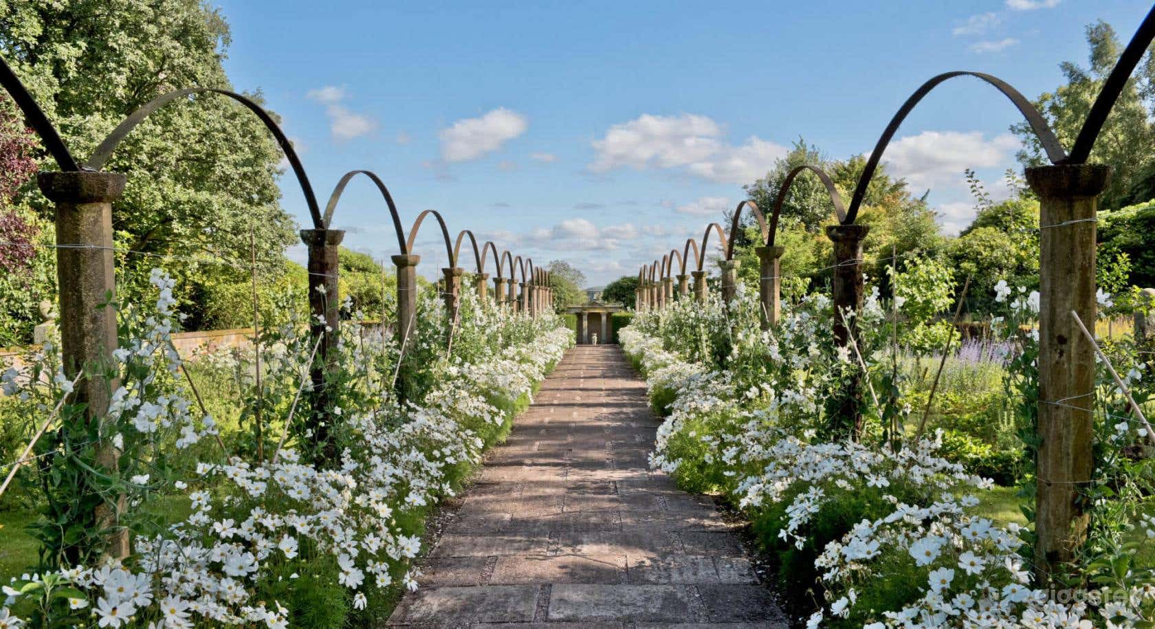 Breathtaking Garden in Stafford Photo 2