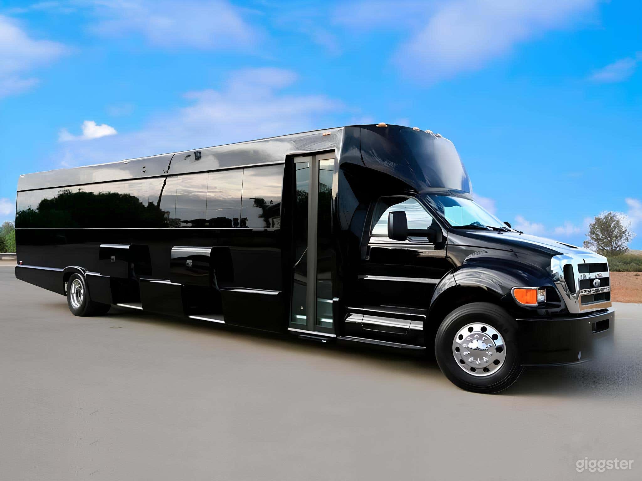 45 passenger Tiffany Party Bus Rental Photo 4