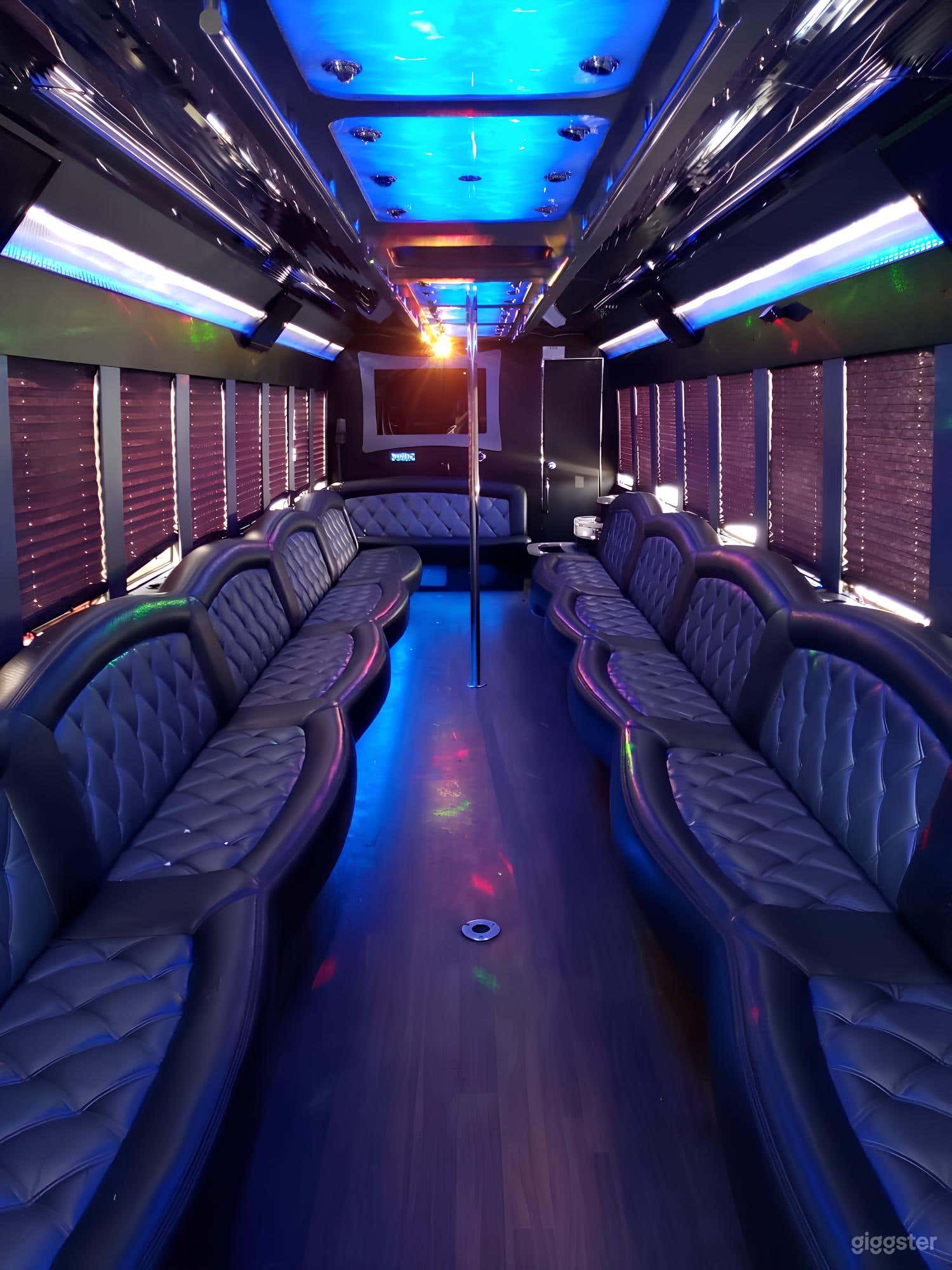 1 dance pole and 1 bathroom  (additional charge to activate it)