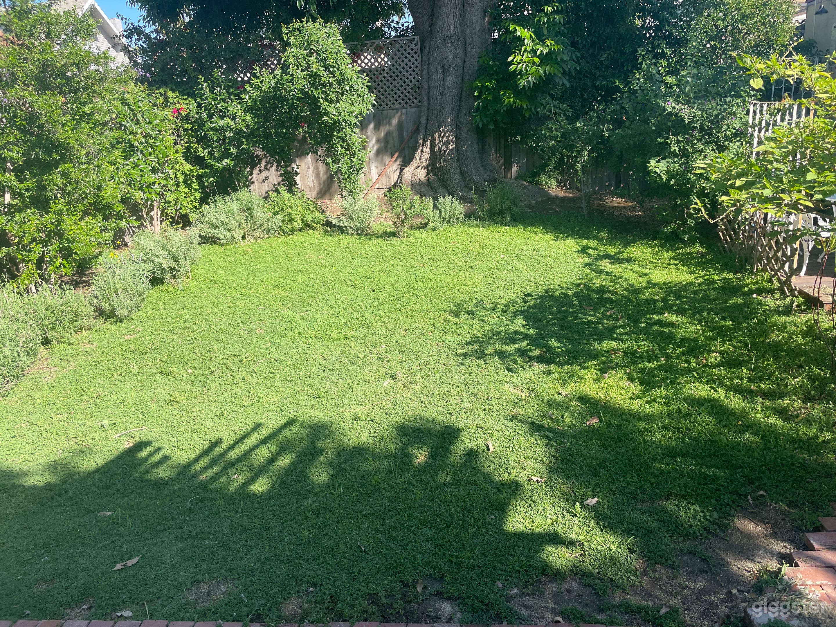 Lush Vintage Backyard Photo 4