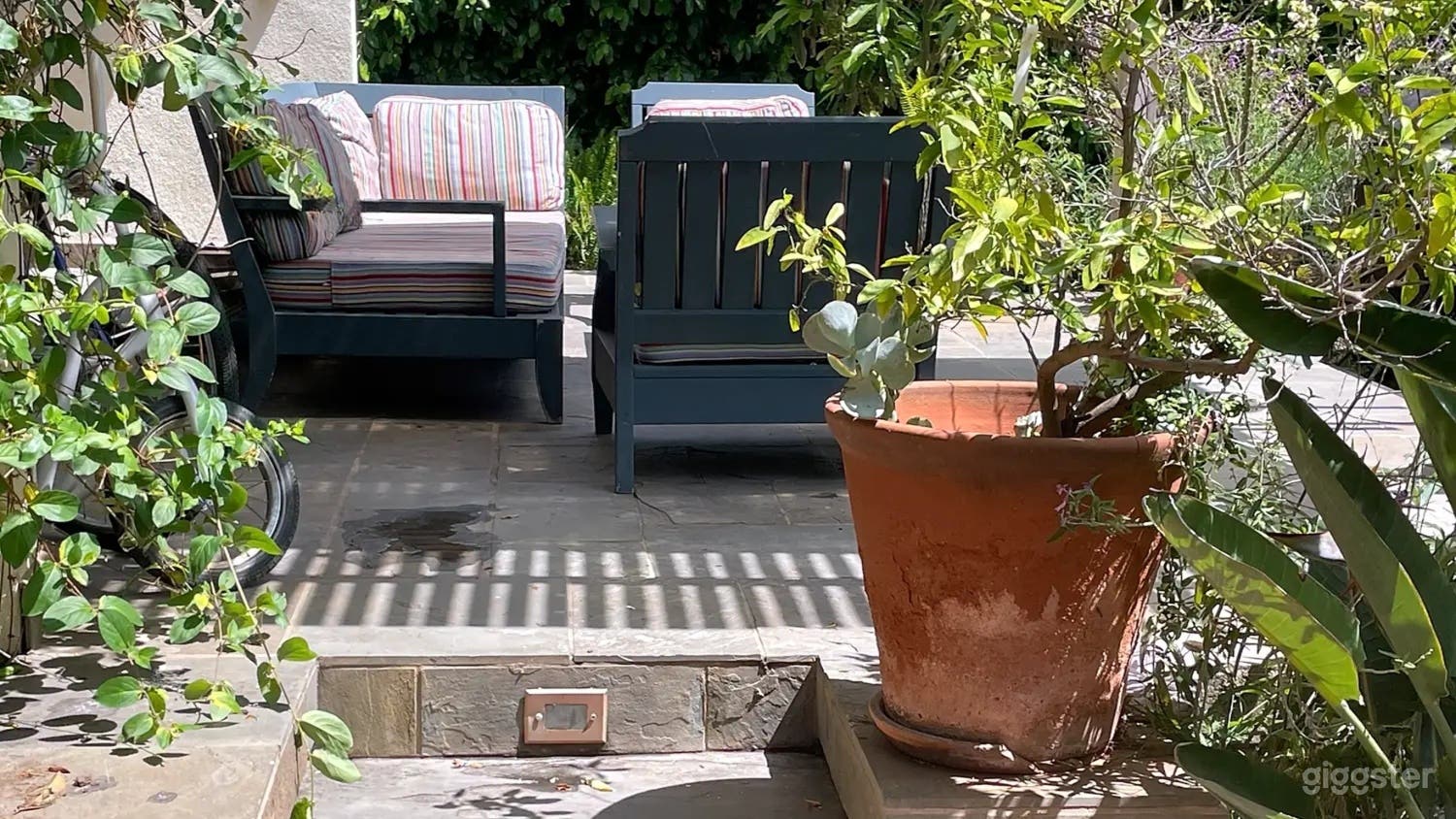 Lush Vintage Backyard Photo 3