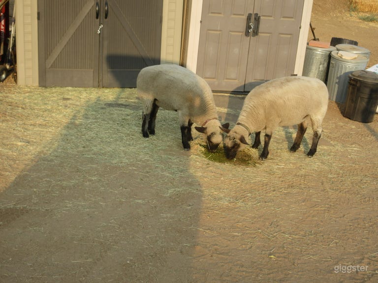  Beautiful scenic Ranch 