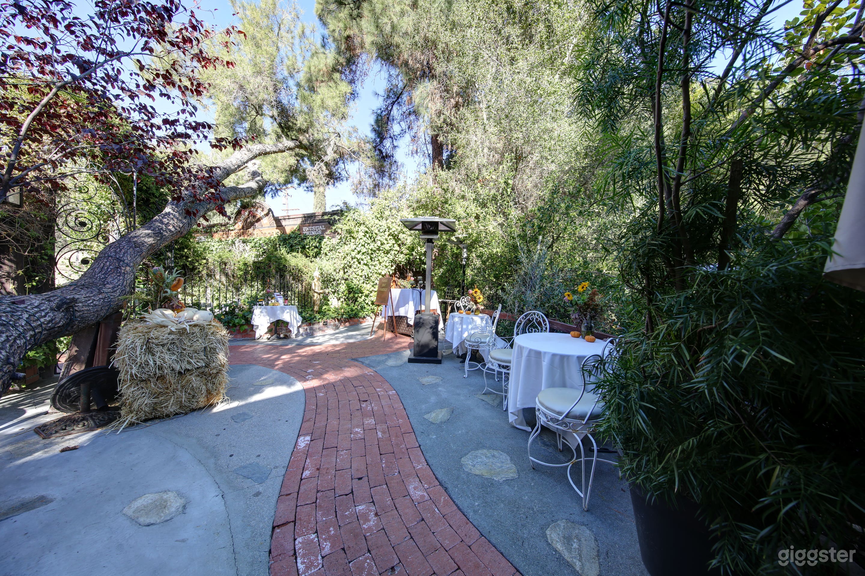 Seventh Fairy Tale  Photo 4