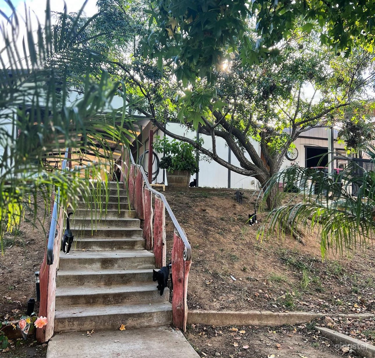 200 Acre Versatile Space Photo 3